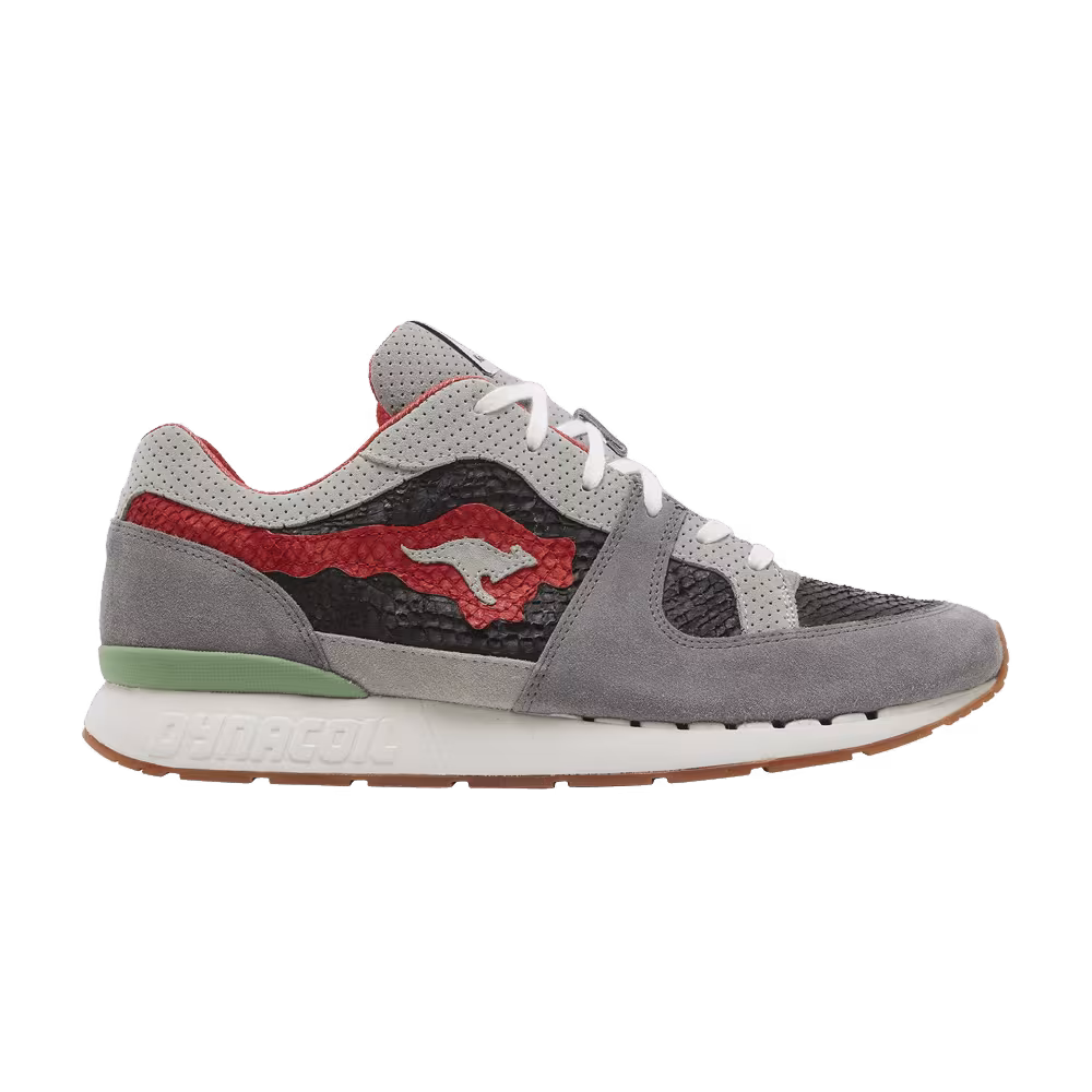 Bisso x KangaROOS Coil R1 Made in Germany Rainbow Trout II