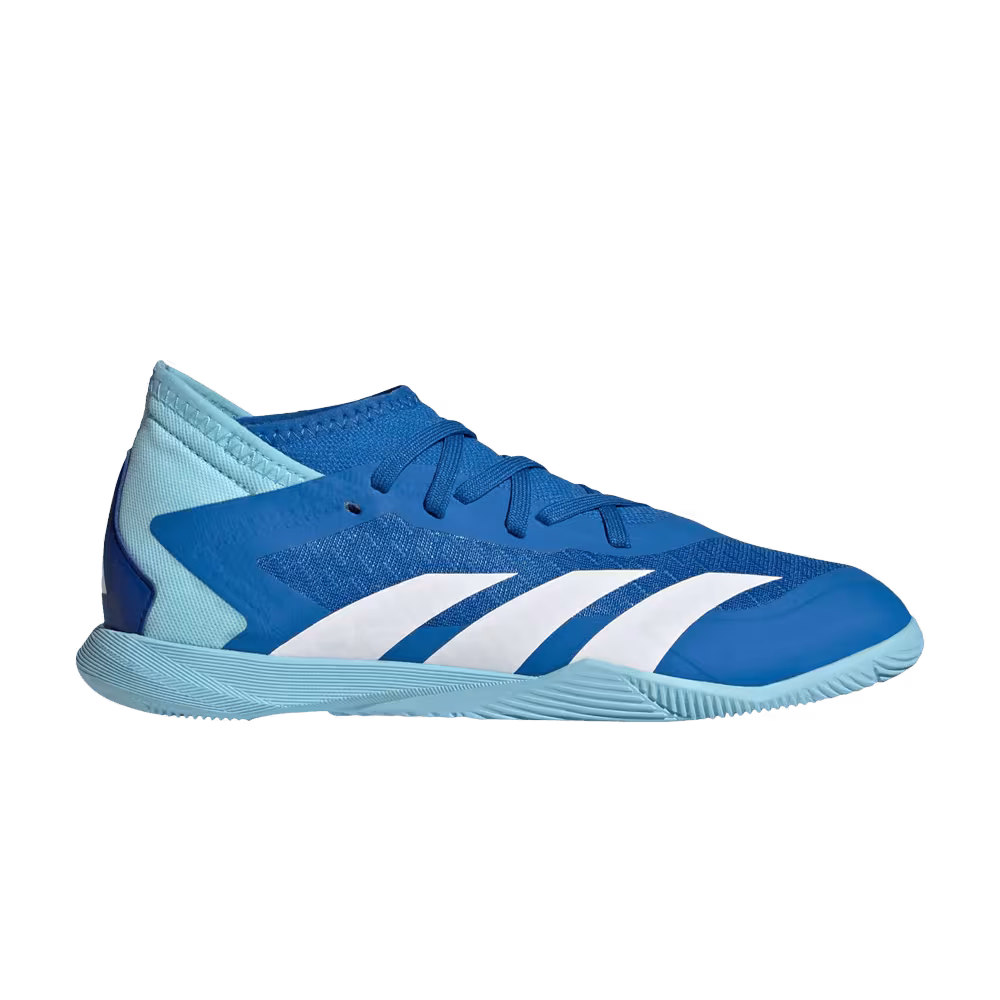 Adidas Predator Accuracy.3 IN J Marinerush Pack