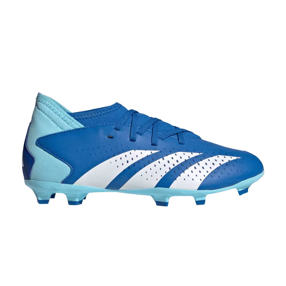 Adidas Predator Accuracy.3 FG J Marinerush Pack