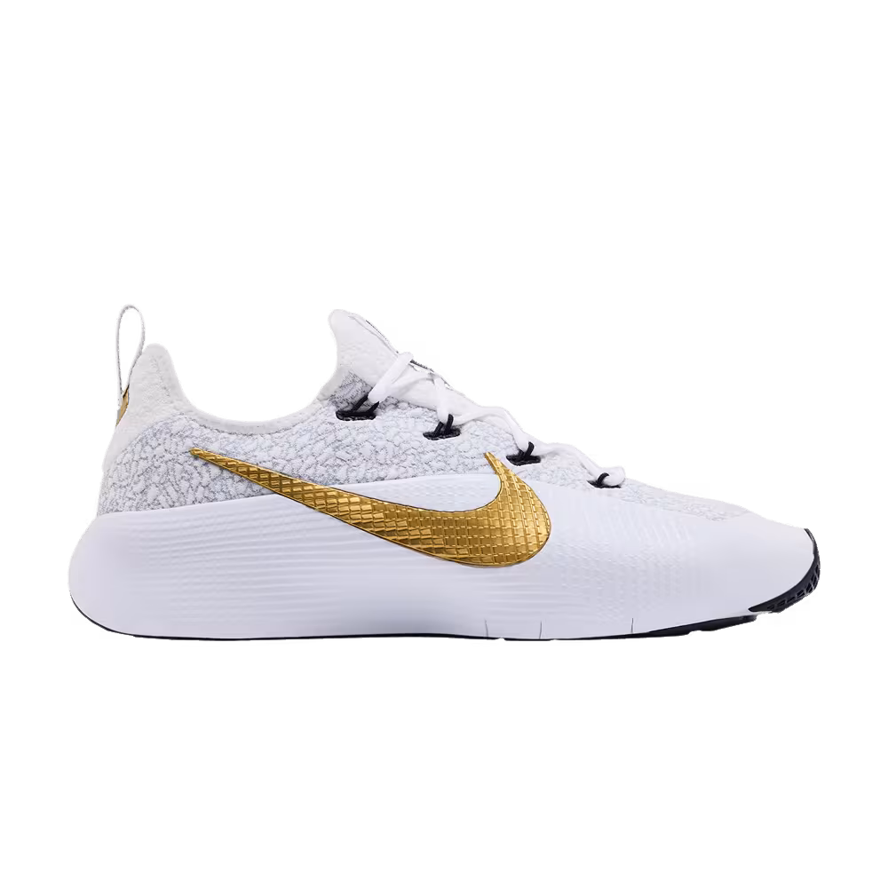 Nike LeBron TR 1 Wolf Grey/White/Bronze/Metallic Gold