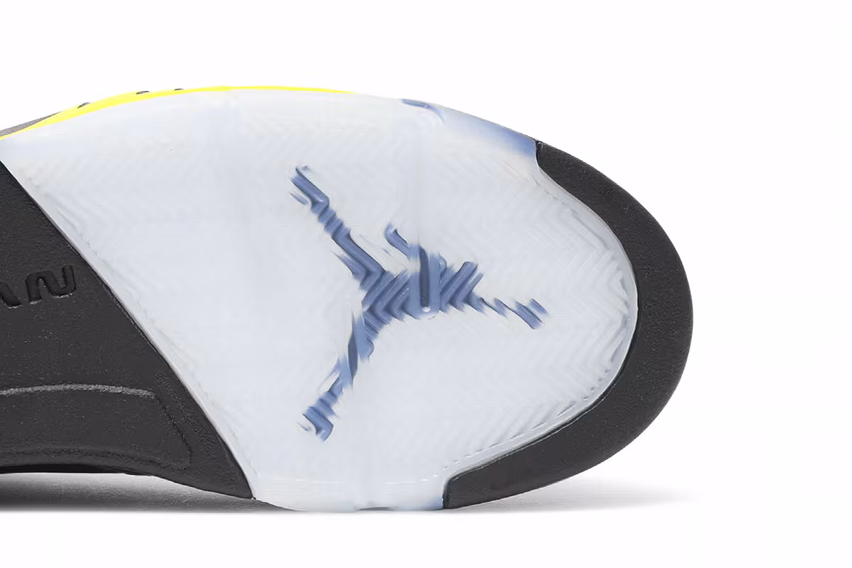 Air Jordan 5 SE Oregon, view 6
