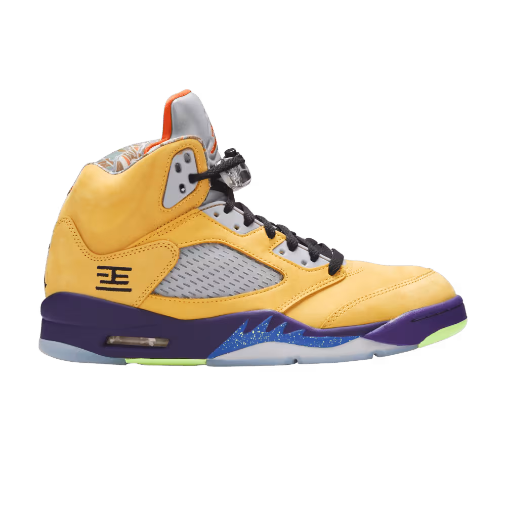 Air Jordan 5 SE What The