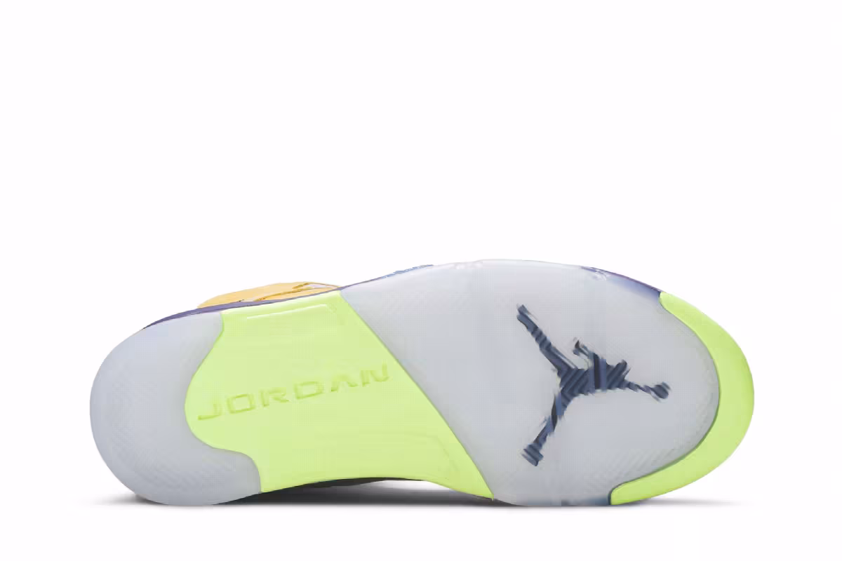 Air Jordan 5 SE What The, view 5