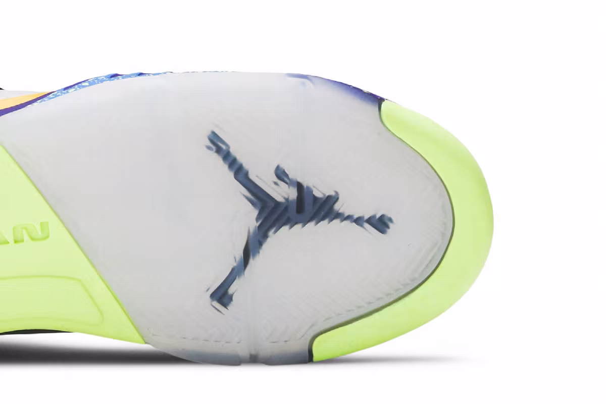 Air Jordan 5 SE GS What The, view 6