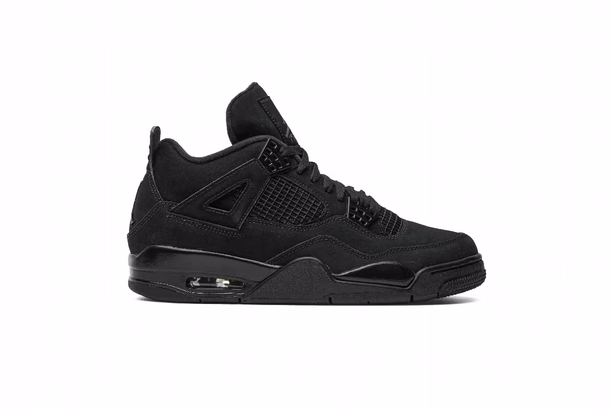 Air Jordan 4 Black Cat 2020, view 2
