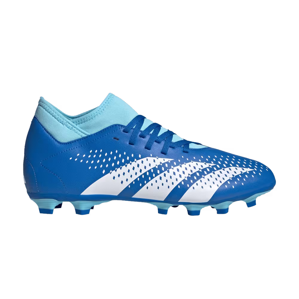 Adidas Predator Accuracy.4 Marinerush Pack