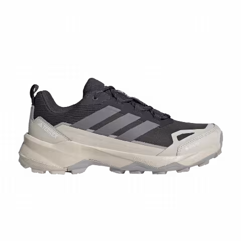 adidas Terrex Skychaser AX5 GORE-TEX 'Carbon Alumina'