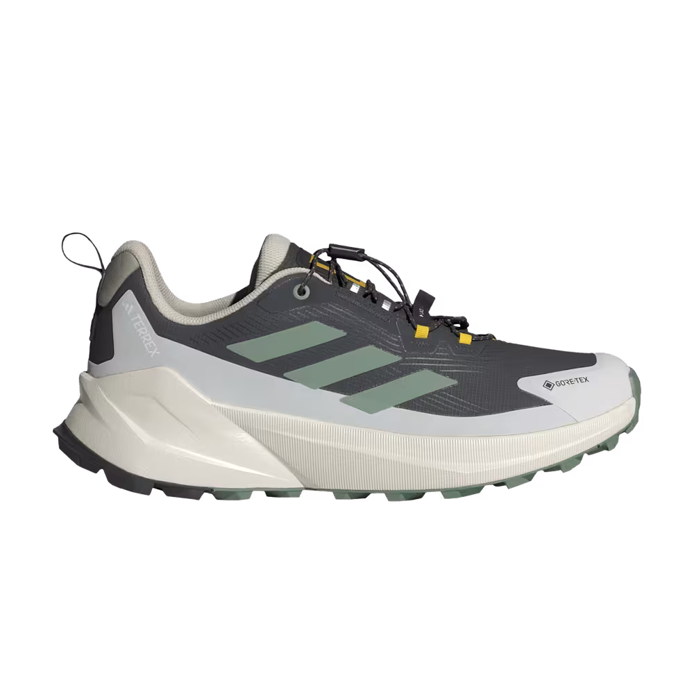 National Geographic x adidas Terrex Trailmaker 2.0 GORE-TEX Carbon Silver Green