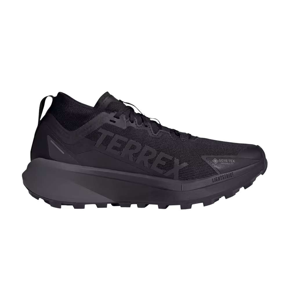 adidas Terrex Agravic Mid GORE-TEX Black Grey