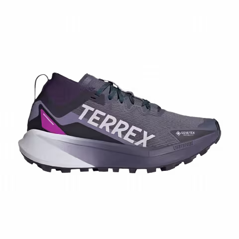 adidas Wmns Terrex Agravic Mid GORE-TEX 'Preloved Violet'