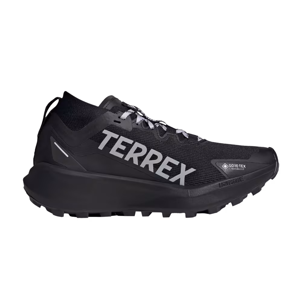 adidas Women's Terrex Agravic Mid GORE-TEX Black Silver Dawn