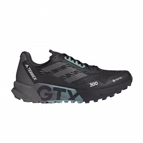 Adidas Wmns Terrex Agravic Flow 2.0 GTX 'Black Grey Mint Ton'