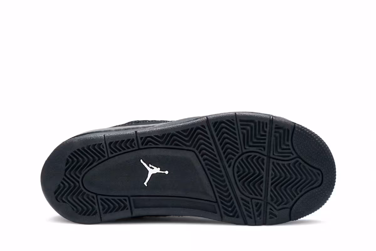Air Jordan 4 PS Black Cat 2020, view 5