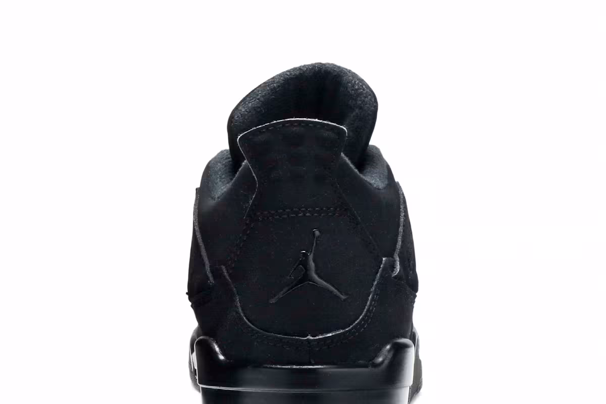 Air Jordan 4 PS Black Cat 2020, view 8