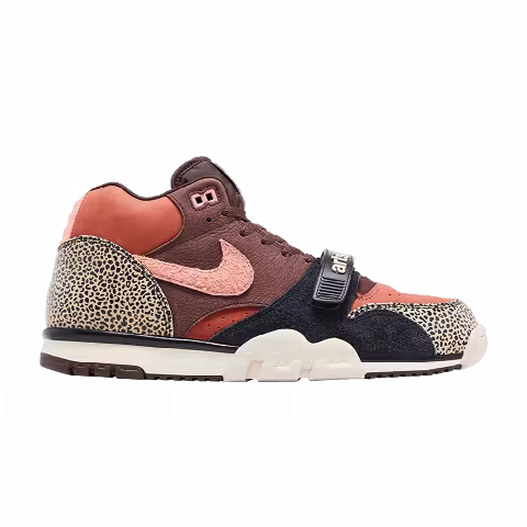 Arts-Rec x Nike Air Trainer 1 SB 'For Recreational Use'