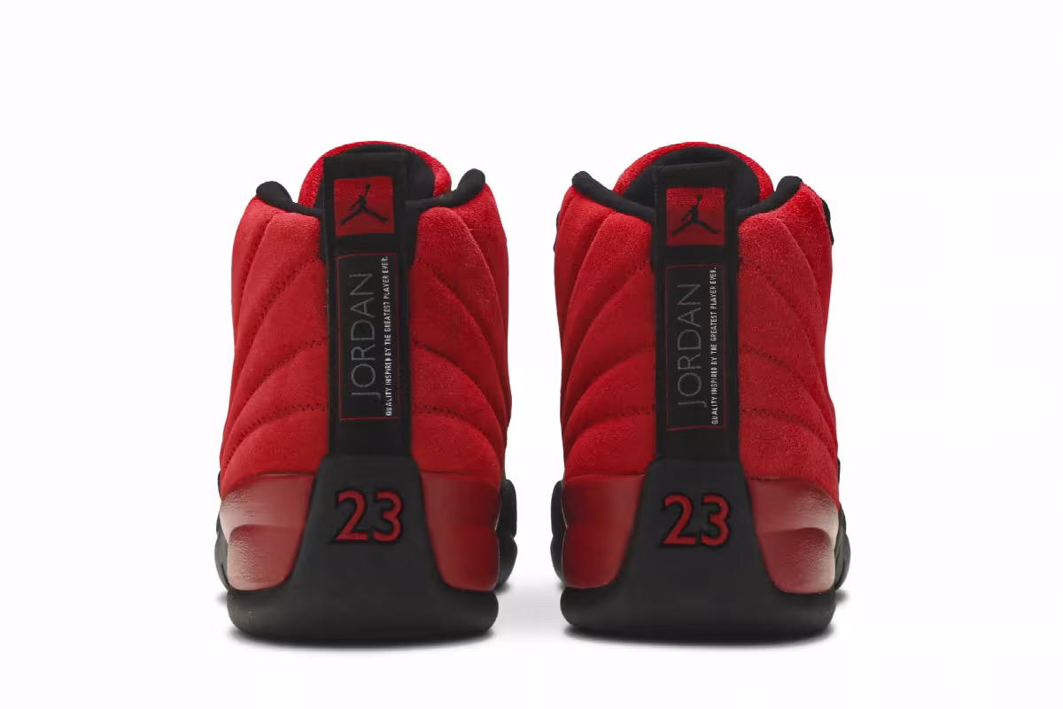 Air Jordan 12 Reverse Flu Game, view 7