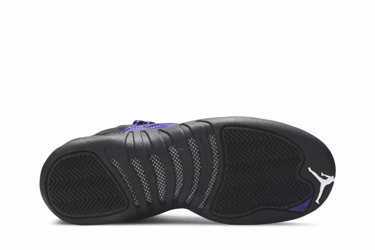 Air Jordan 12 GS Dark Concord, view 5