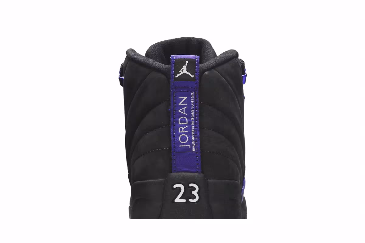 Air Jordan 12 GS Dark Concord, view 8