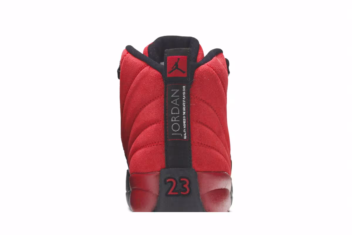 Air Jordan 12 GS Reverse Flu Game, view 8