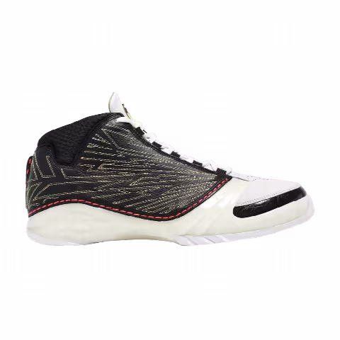 Titan x Air Jordan 23 Retro SP '10th Anniversary'