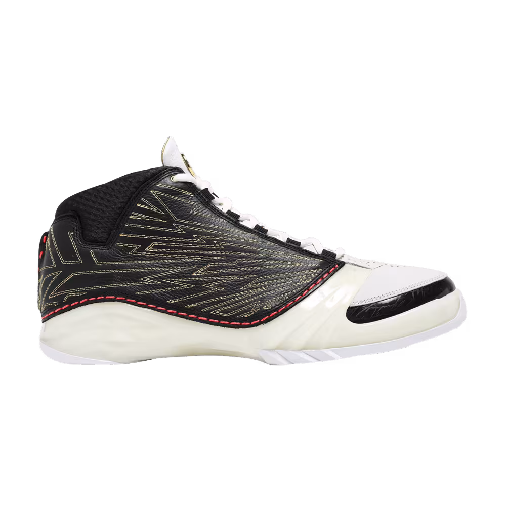 Titan x Air Jordan 23 SP 10th Anniversary