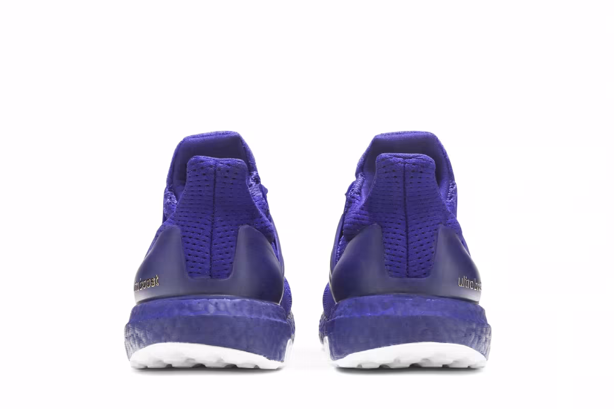 Adidas UltraBoost 1.0 NCAA Pack - Washington, view 7