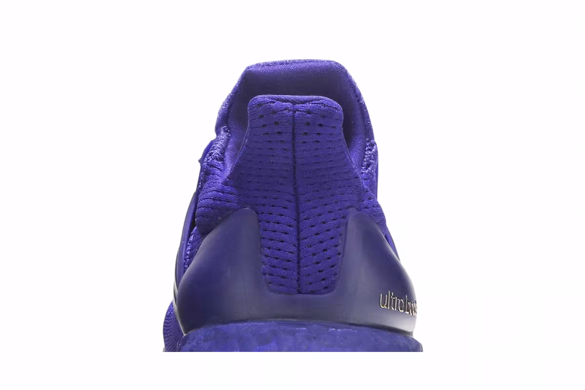 Adidas UltraBoost 1.0 NCAA Pack - Washington, view 8