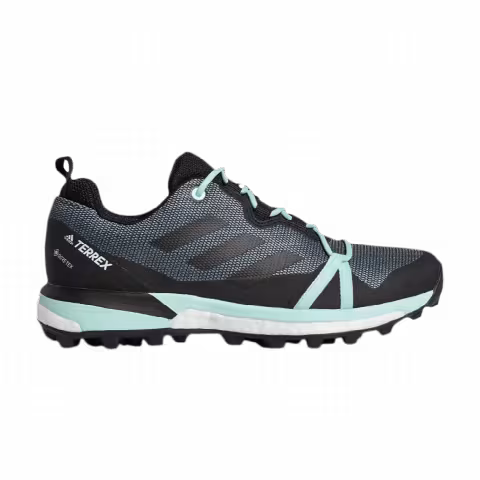 Adidas Wmns Terrex Skychaser LT GTX 'Ash Grey Mint'