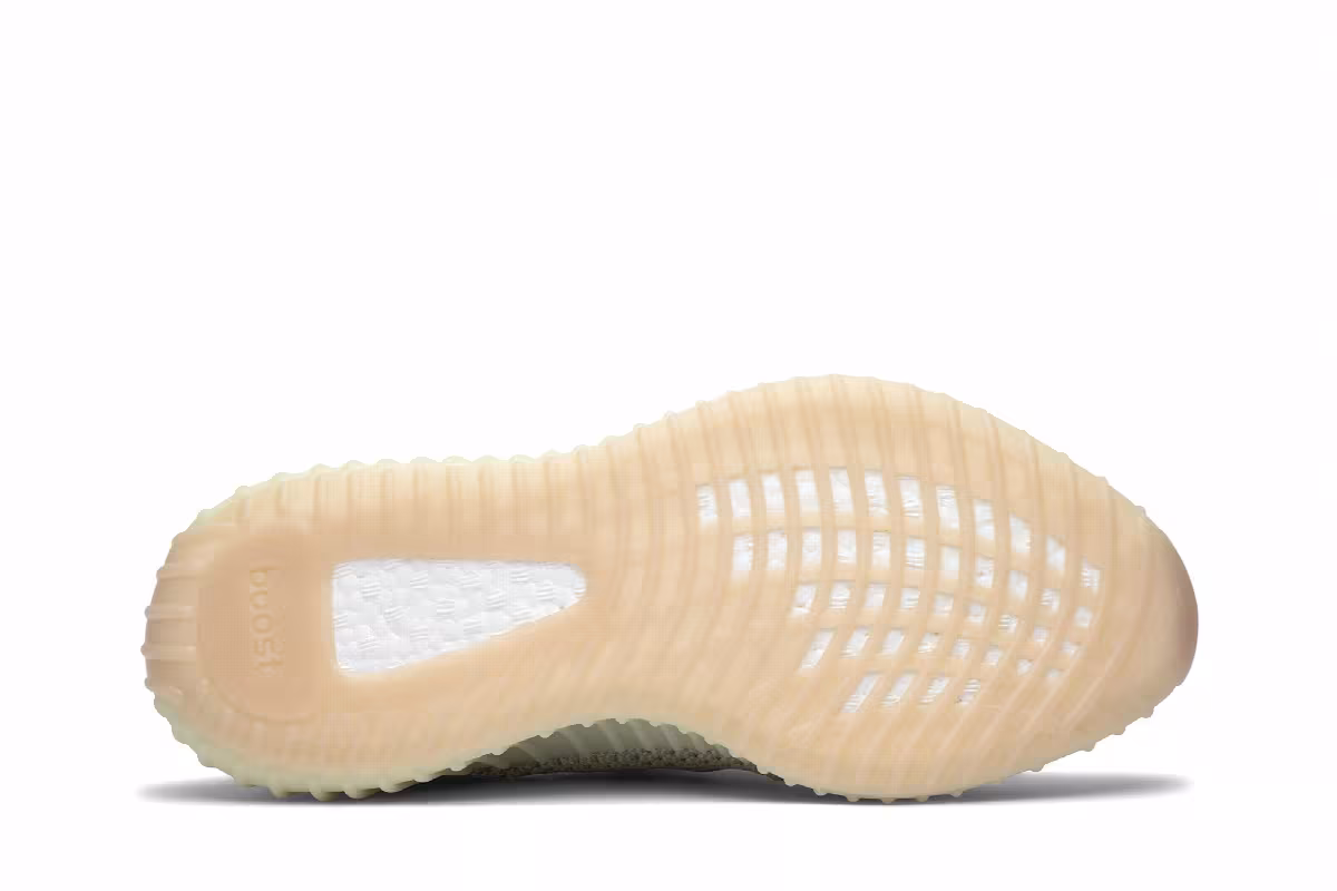 adidas Yeezy Boost 350 V2 Antlia, view 5