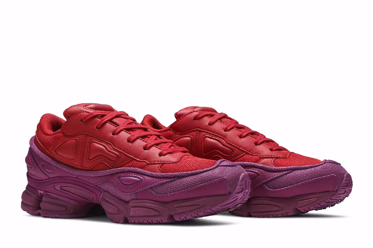 Raf Simons x adidas Ozweego Glory, view 9