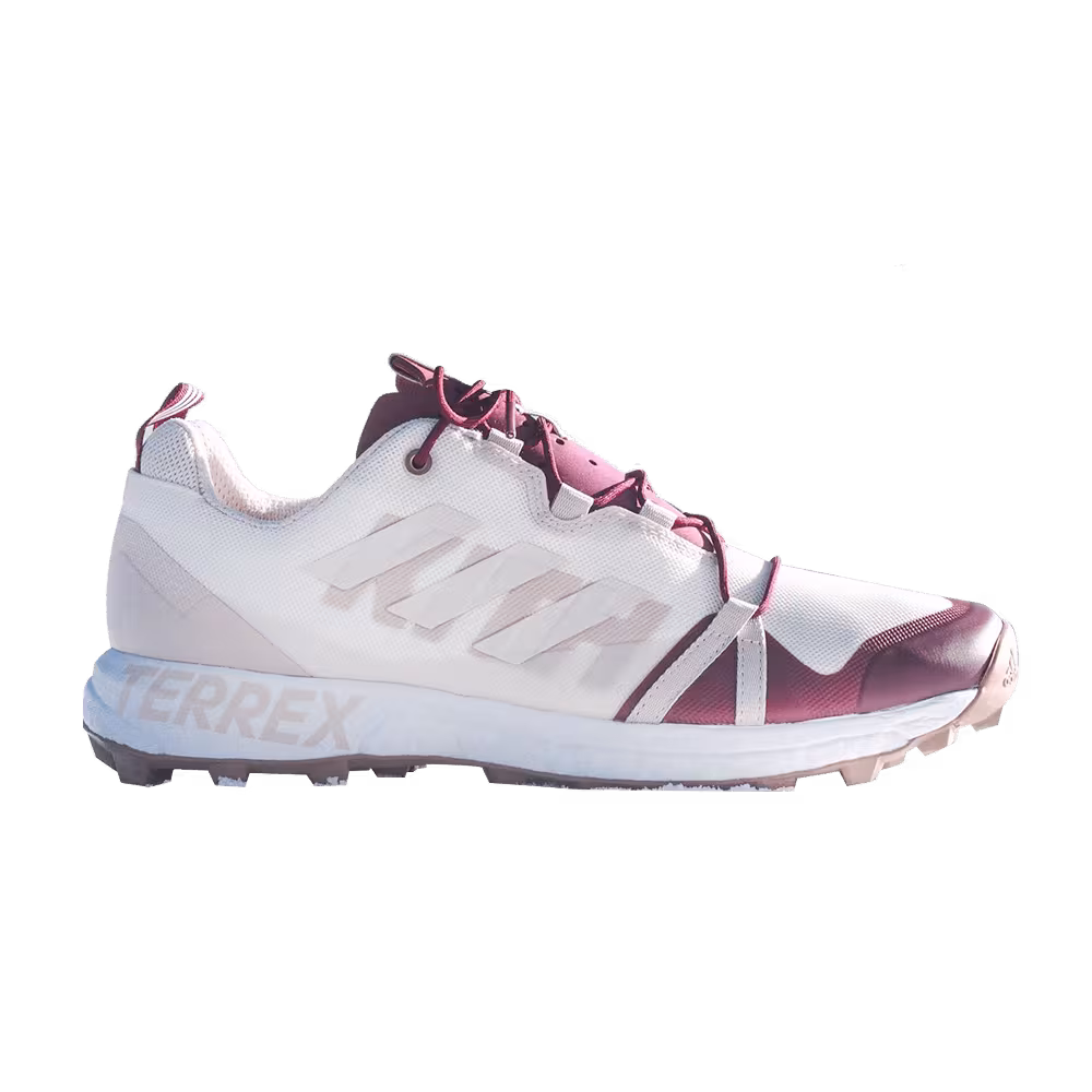 Kith x adidas Terrex Skychaser Intelligence