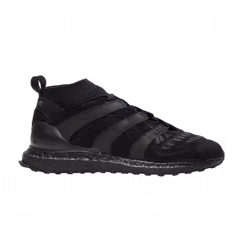 Adidas DB Predator Accelerator UltraBoost 'David Beckham'