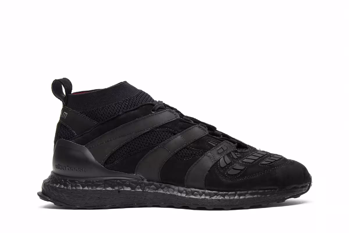 Adidas DB Predator Accelerator UltraBoost David Beckham, view 2