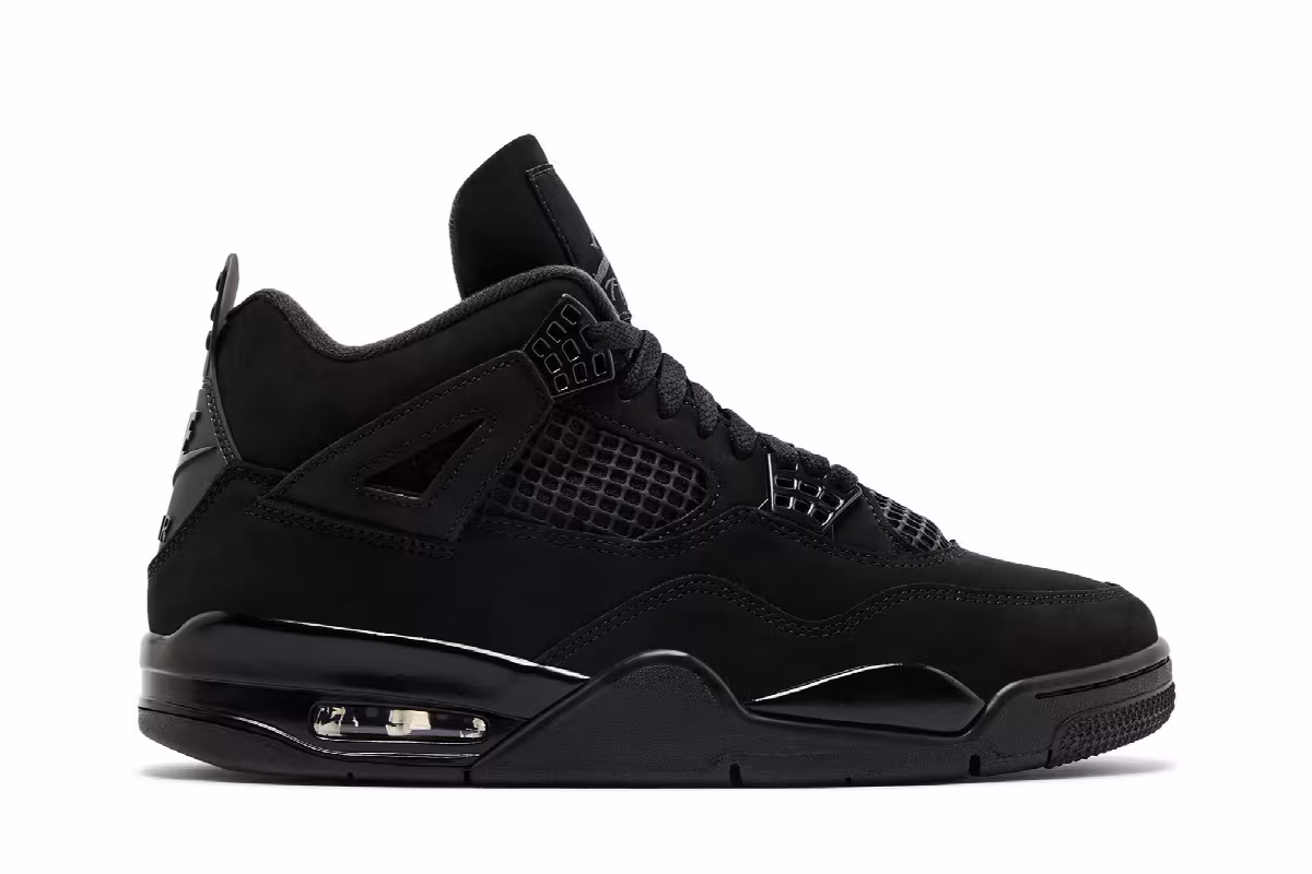 Air Jordan 4 Black Cat 2025, view 2