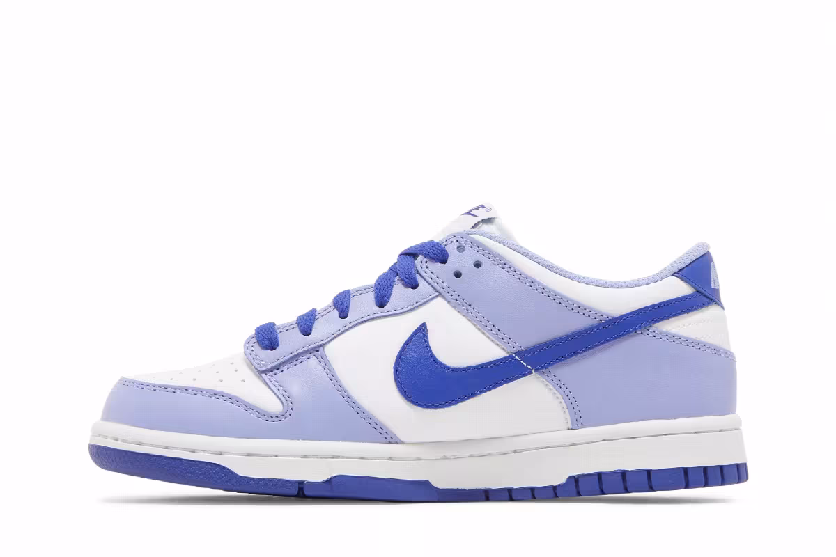 Nike Dunk Low PS Blueberry, view 4