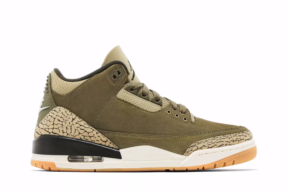 Air Jordan 3 Family Affair, view 2