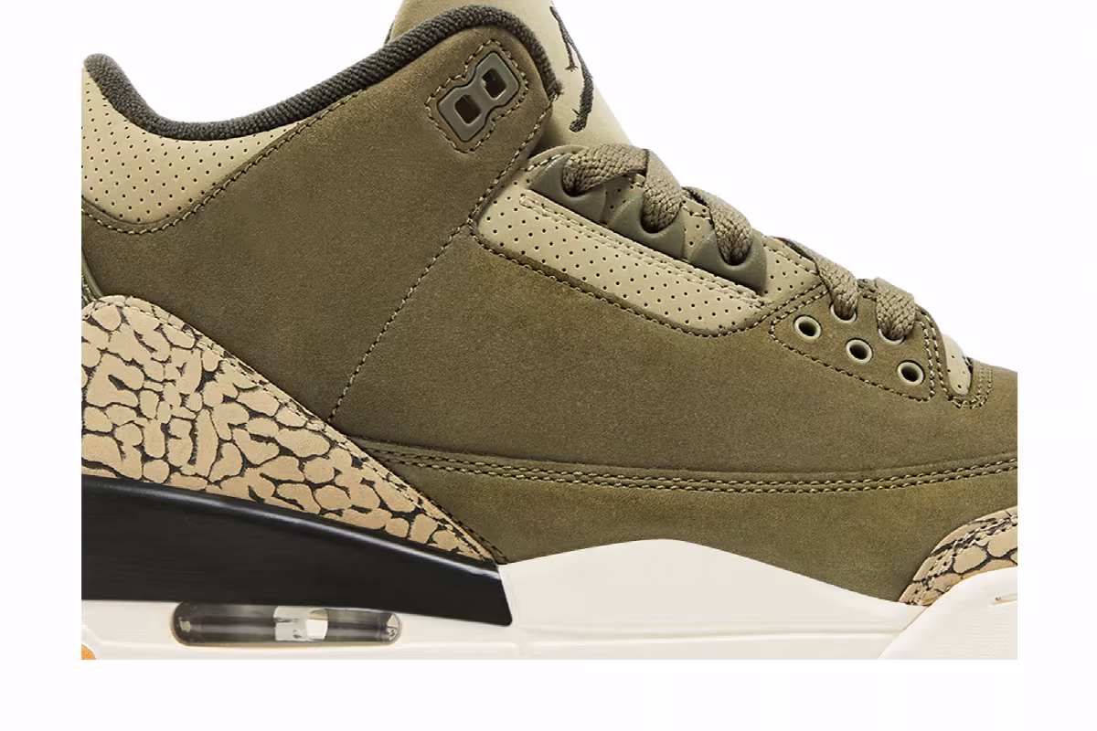 Air Jordan 3 Family Affair, view 3