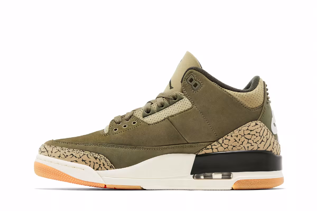 Air Jordan 3 Family Affair, view 4