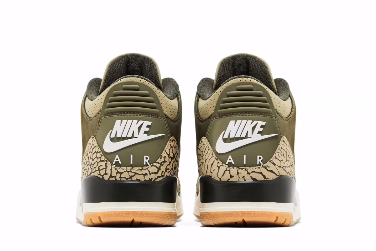 Air Jordan 3 Family Affair, view 7