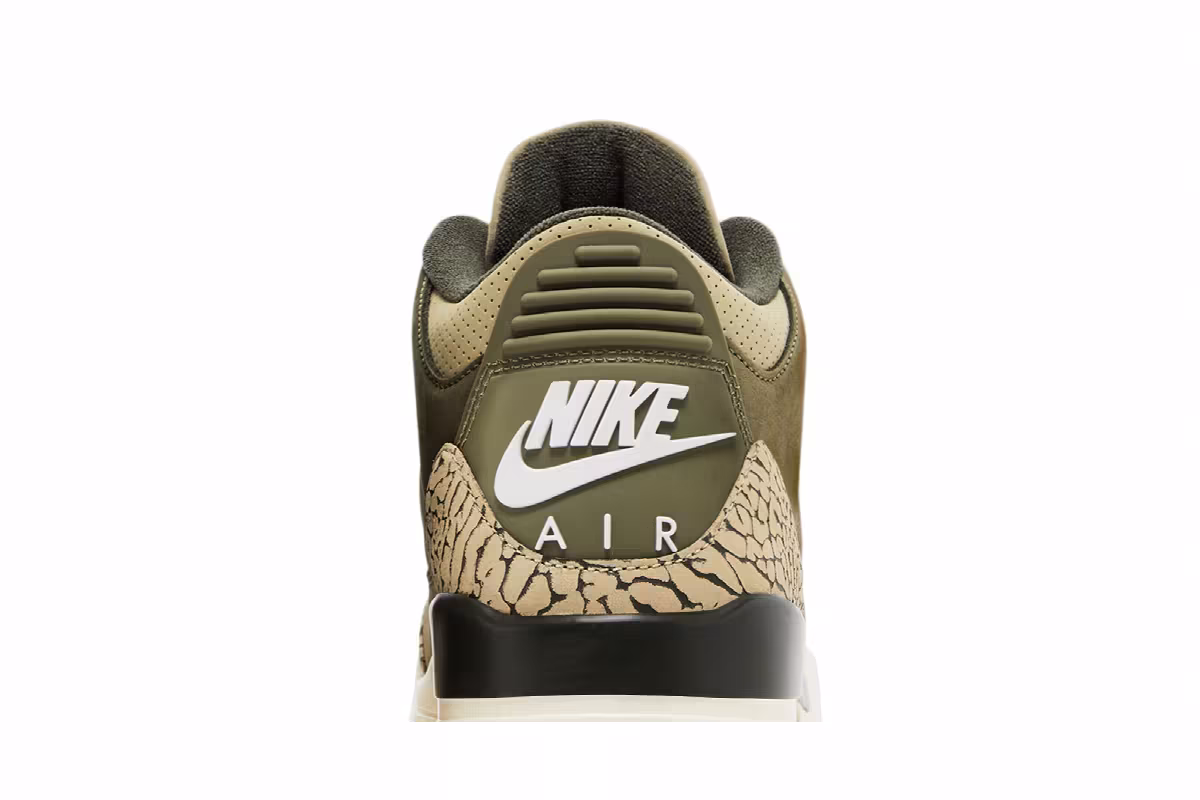 Air Jordan 3 Family Affair, view 8