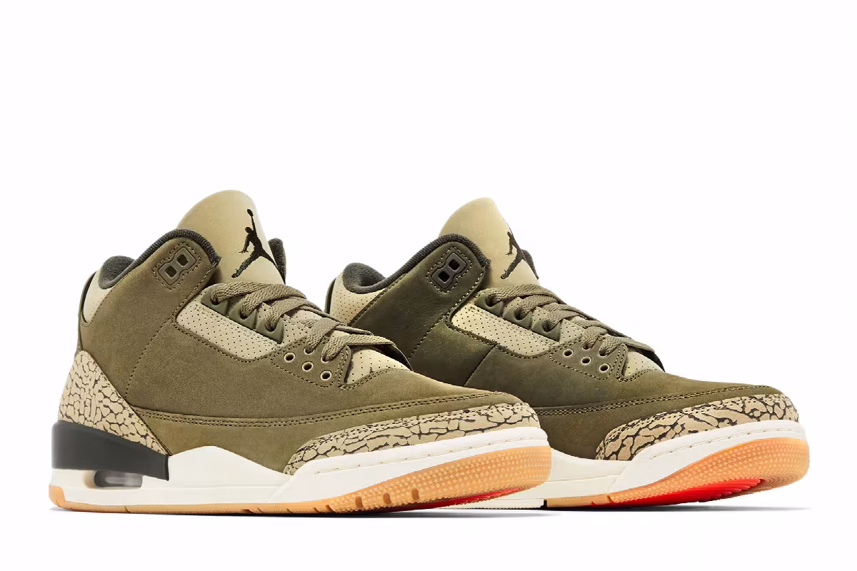 Air Jordan 3 Family Affair, view 9