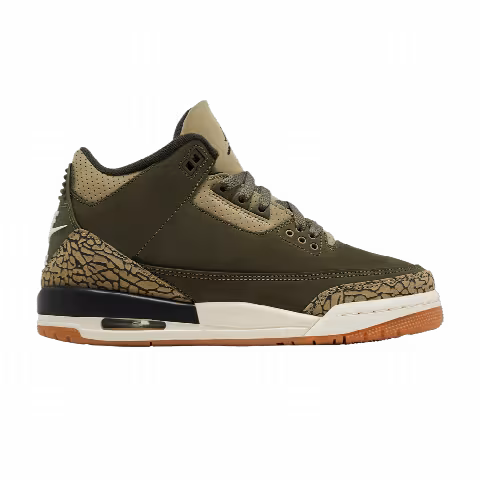 Air Jordan 3 Retro GS 'Family Affair'