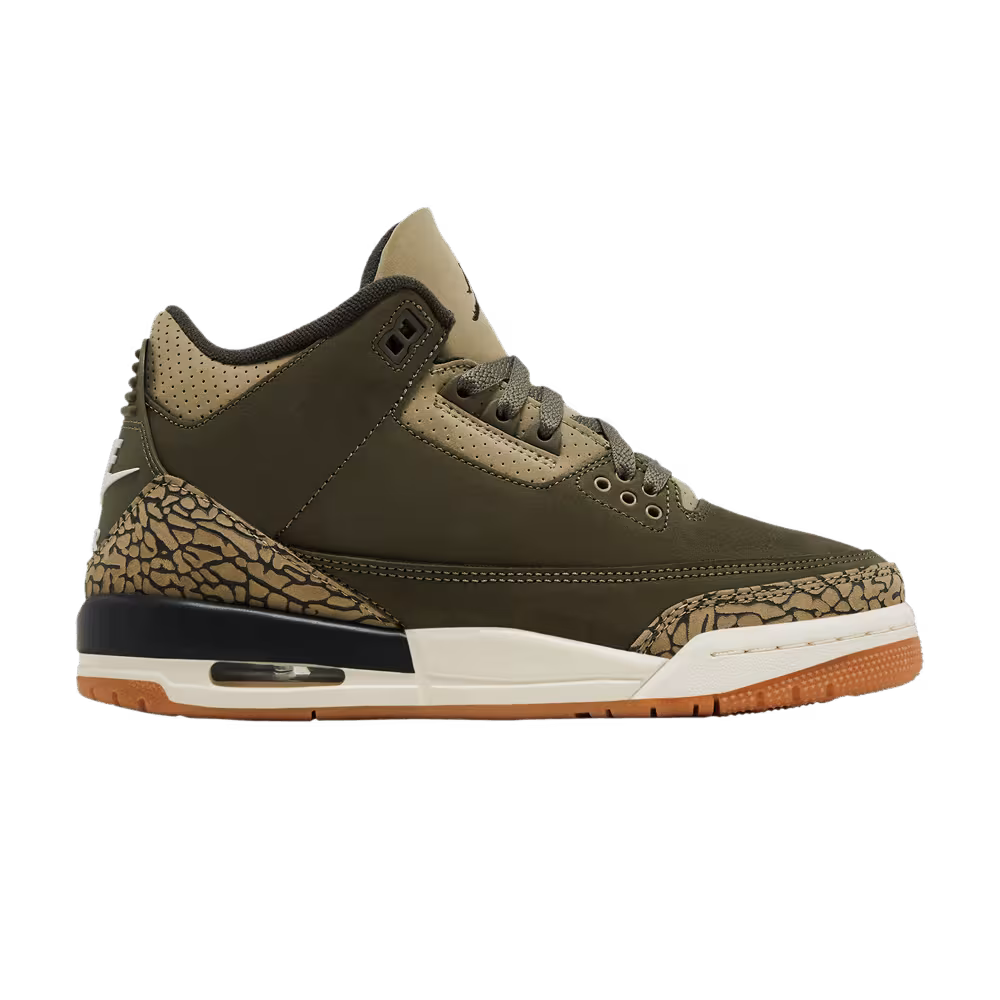 Air Jordan 3 GS Family Affair
