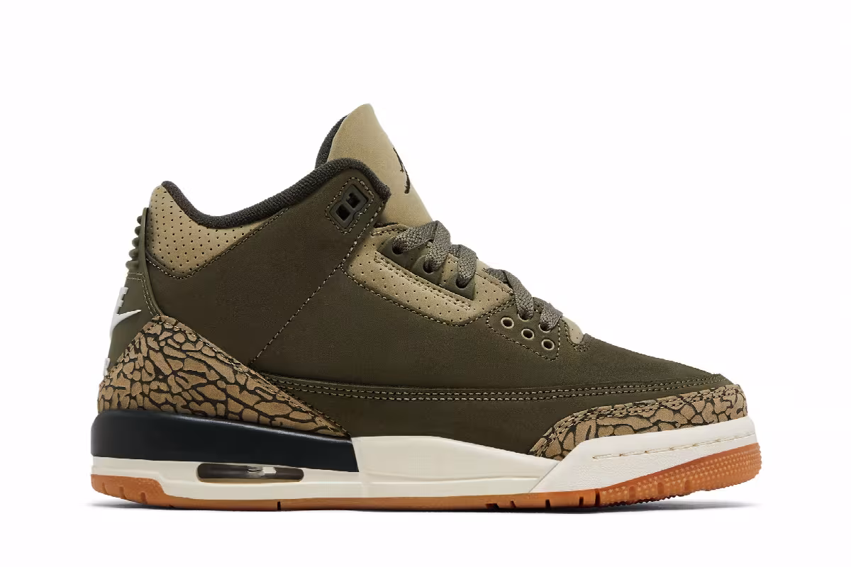 Air Jordan 3 GS Family Affair, view 2