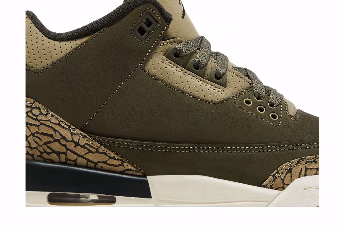 Air Jordan 3 GS Family Affair, view 3