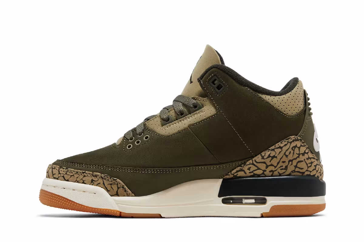 Air Jordan 3 GS Family Affair, view 4