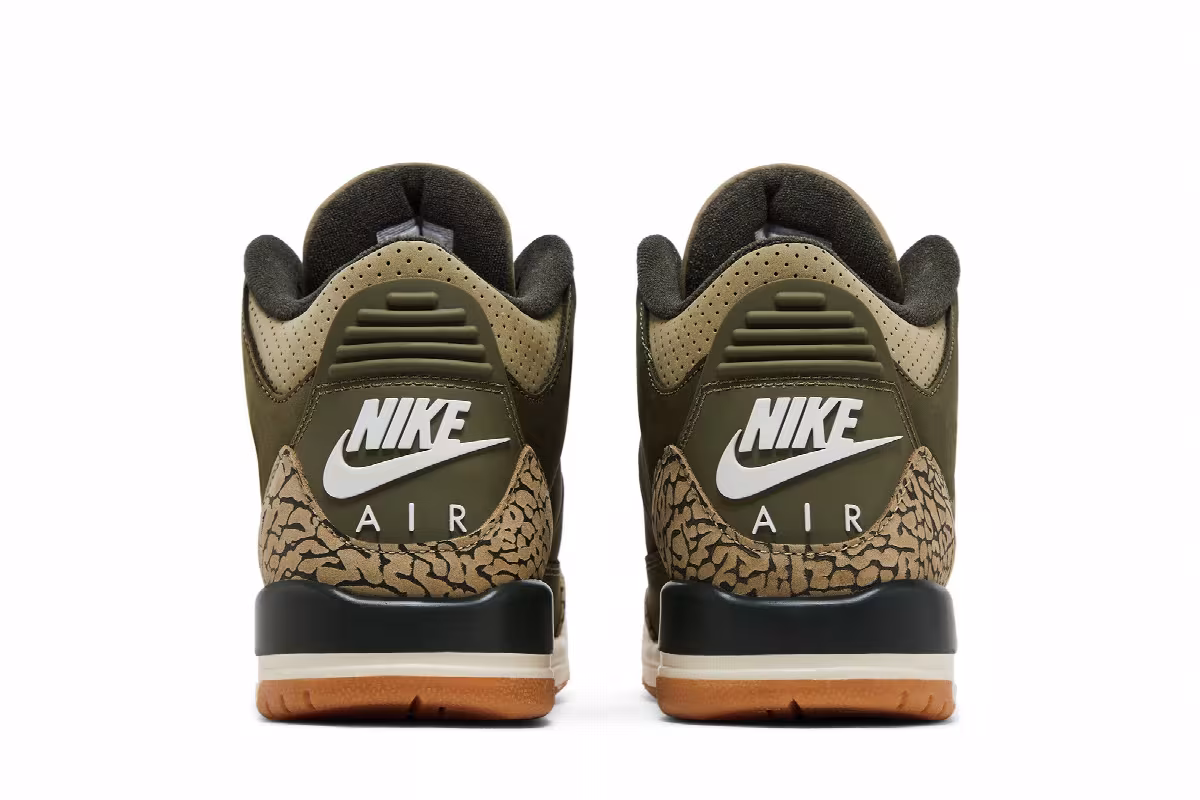 Air Jordan 3 GS Family Affair, view 7