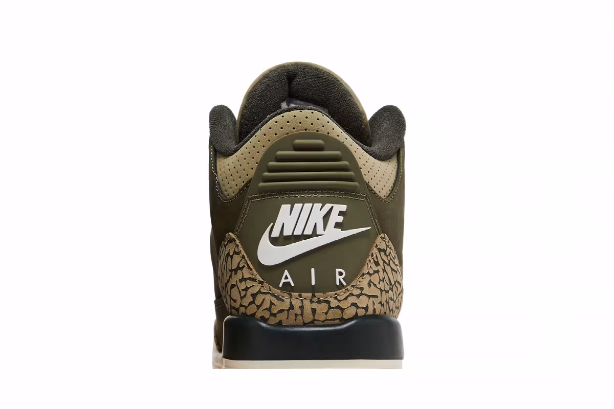 Air Jordan 3 GS Family Affair, view 8