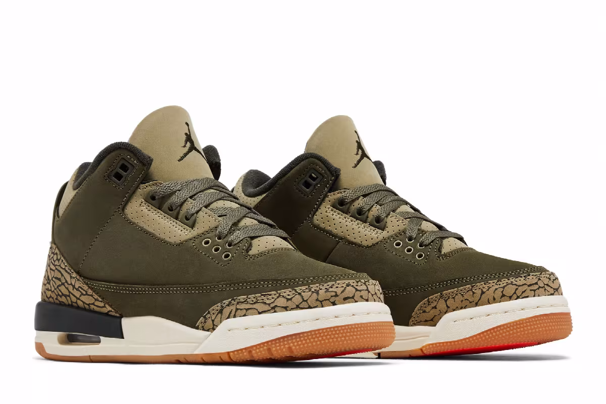 Air Jordan 3 GS Family Affair, view 9
