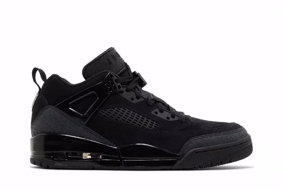 Air Jordan Spizike Low Black Cat, view 2